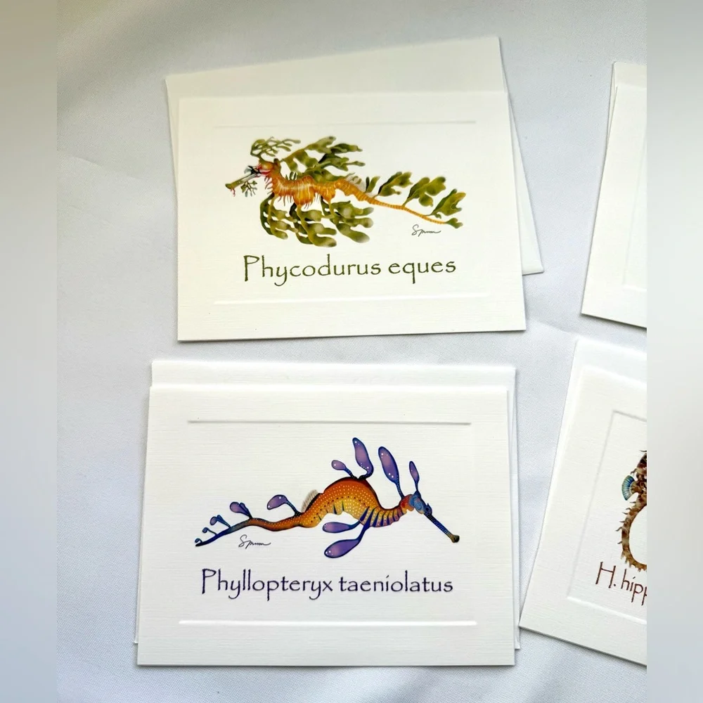 Seahorse conservation greeting cards set of four